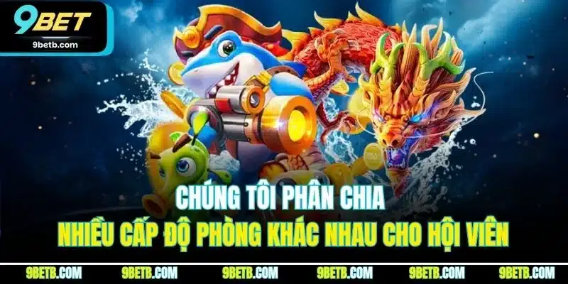 Chúng tôi phân chia nhiều cấp độ phòng khác nhau cho hội viên