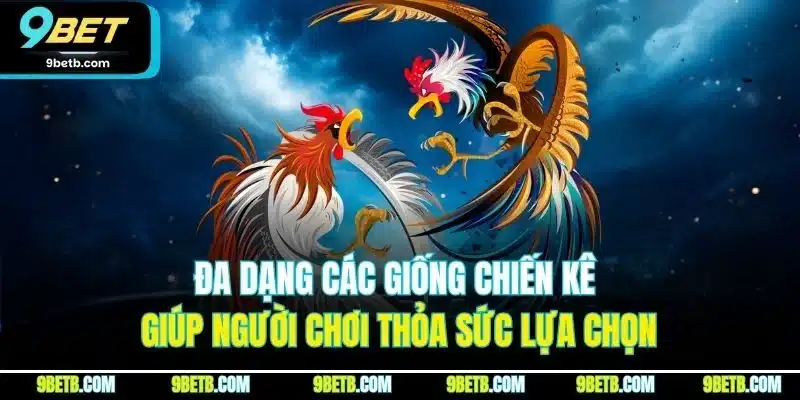 Đa dạng các giống chiến kê giúp người chơi thỏa sức lựa chọn