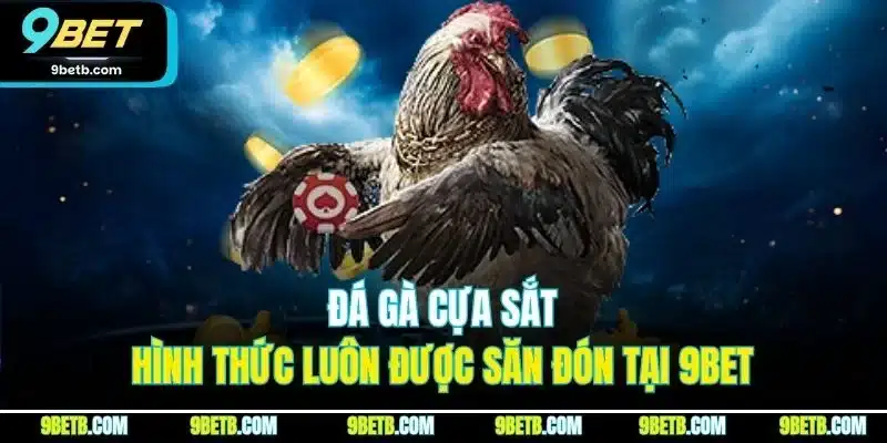 Đá Gà Cựa Sắt - Hình Thức Luôn Được Săn Đón Tại 9BET