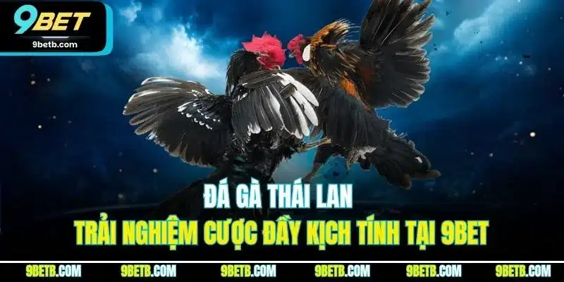 Đá Gà Thái Lan - Trải Nghiệm Cược Đầy Kịch Tính Tại 9BET